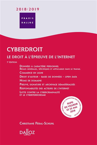 Cyberdroit 2018-2019 : le droit à l'épreuve de l'Internet