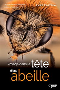 Voyage dans la tête d'une abeille