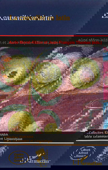 La causalité en latin