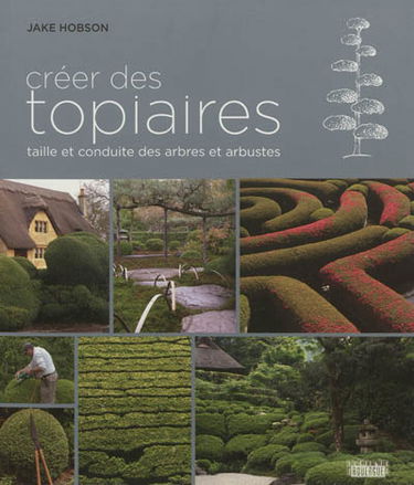 Créer des topiaires : taille et conduite des arbres et arbustes