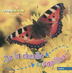 De la chenille au papillon