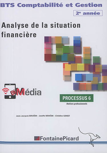 Analyse de la situation financière : BTS comptabilité et gestion 2e année : processus 6, ateliers professionnels
