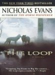 Couverture de The Loop