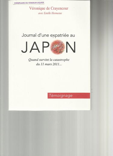 Journal D'une Expatriée au japon - Quand survint la catastrophe du 11 Mars 2011
