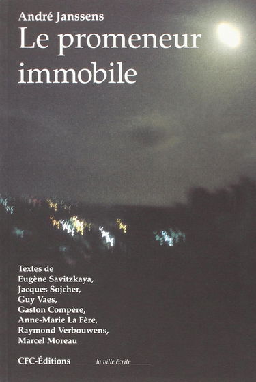 Le promeneur immobile