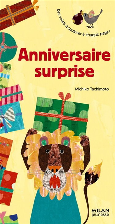 Couverture de Anniversaire surprise : des volets à soulever à chaque page !
