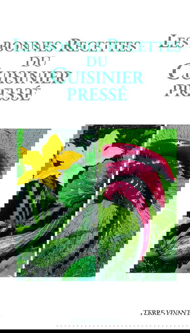 Les bonnes recettes du cuisinier pressé