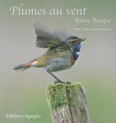 Plumes au vent