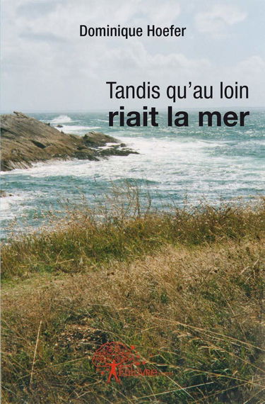 Tandis qu'au loin riait la mer - roman