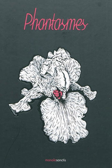 Couverture de Phantasmes