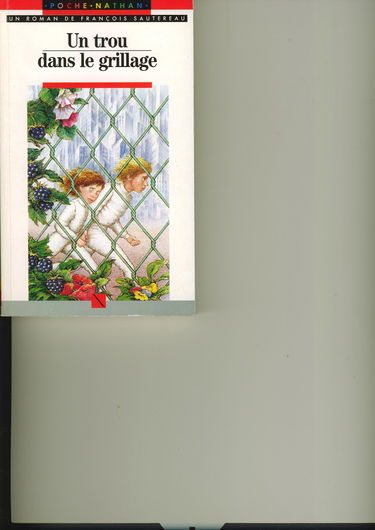 Un Trou dans le grillage