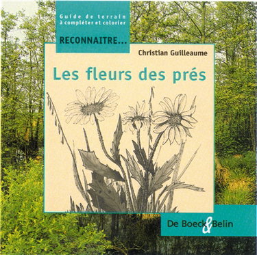 Les fleurs des prés : guide de terrain à compléter et colorier