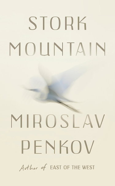 Couverture de Stork Mountain