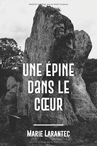 Une épine dans le cœur: Une enquête du commandant Morin