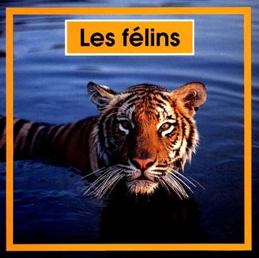 Les Félins
