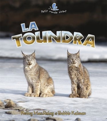 Couverture de La toundra