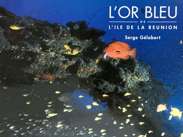 Couverture de l'or bleu de l'ile de la reunion
