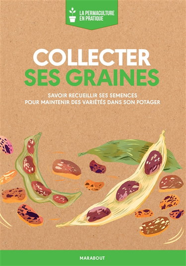 Collecter ses graines : savoir recueillir ses semences pour maintenir des variétés dans son potager