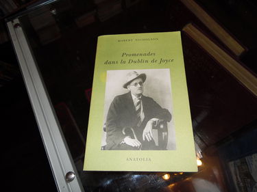 Promenades dans le Dublin de Joyce