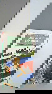 Terrain miné au Cambodge : médecins de l'impossible