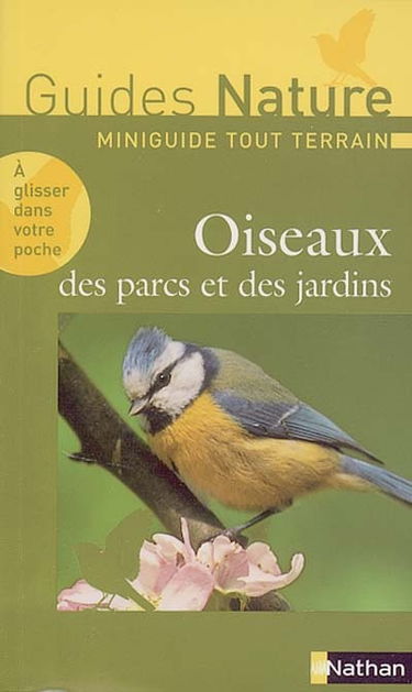 Oiseaux des parcs et des jardins