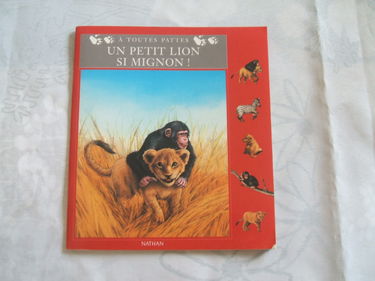 Un petit lion si mignon