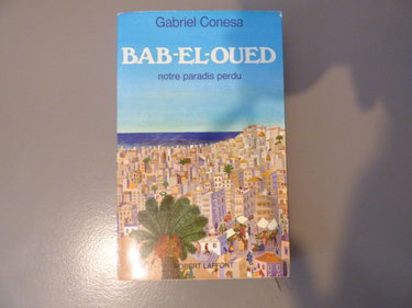 Couverture de Bab el oued notre paradis perdu