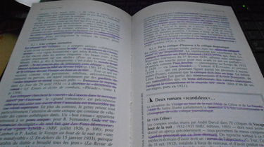 La critique littéraire