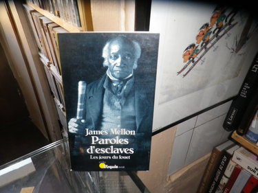 Paroles d'esclaves : les jours du fouet