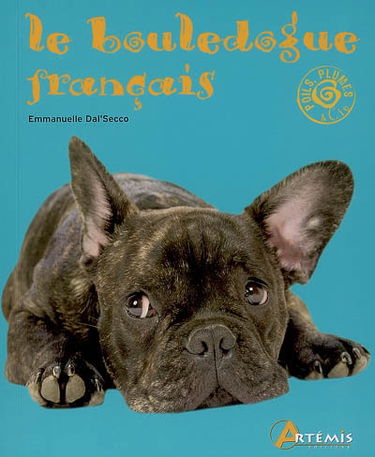 Le bouledogue français