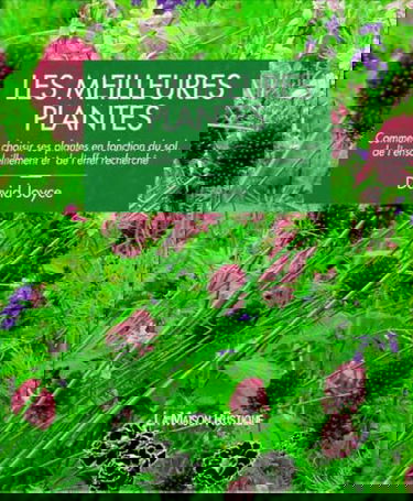 Les meilleures plantes : comment choisir ses plantes en fonction du sol, de l'ensoleillement et de l'effet recherché