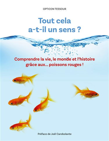 Tout cela a-t-il un sens ? : Comprendre la vie, le monde et l'histoire grâce aux... poissons rouges !
