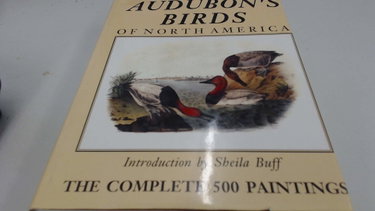 Couverture de Audubon's Birds of North America