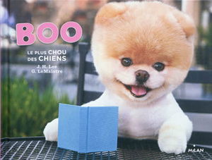 Boo, le plus chou des chiens