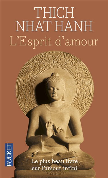 L'esprit d'amour : la pratique du regard profond dans la tradition bouddhiste mahayana