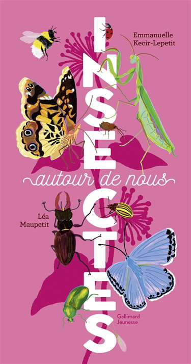Couverture de Insectes autour de nous