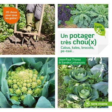 Un potager très chou(x) : cabus, kales, brocolis, pe-tsaï...