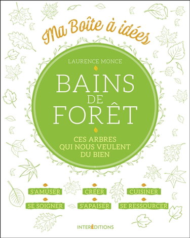 Bain de forêt : ces arbres qui nous veulent du bien