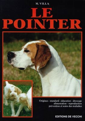 Le pointer