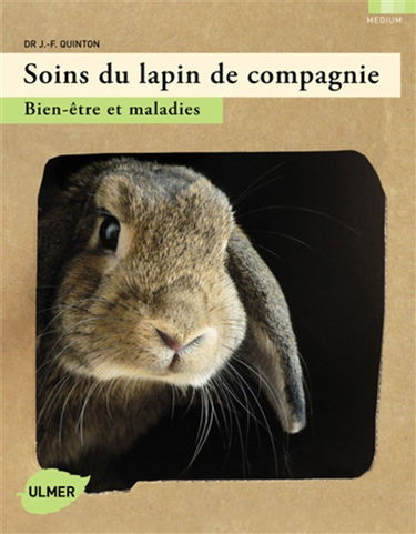Soins du lapin de compagnie : bien-être et maladies
