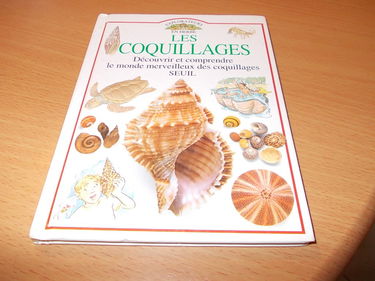 Les Coquillages