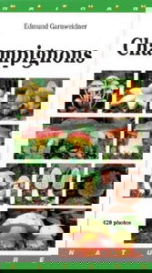 Gros plan sur les champignons