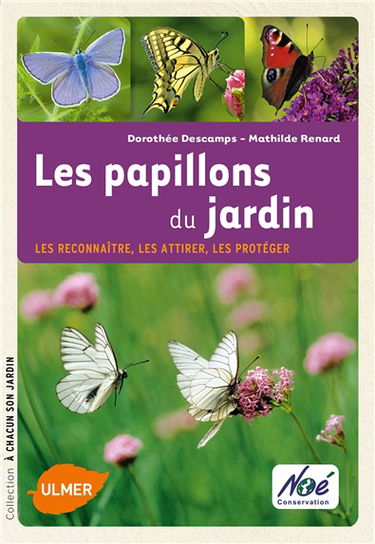 Aménager un jardin pour les papillons : les reconnaître, les attirer, les protéger