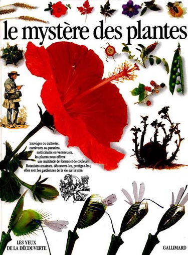 Le mystère des plantes