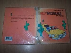 Théo et Balthazar en Amérique