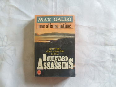 Une affaire intime... : chronique d'un hiver dans une ville du sud : roman