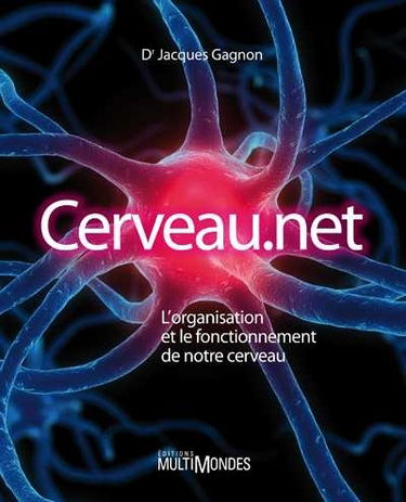 Cerveau.net : l'organisation et le fonctionnement de notre cerveau