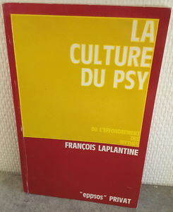 La Culture de Psy : ou l'effondrement des mythes