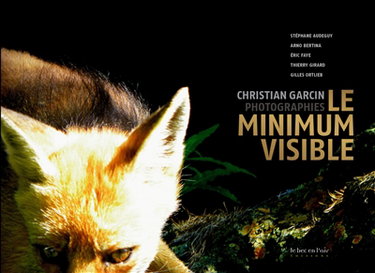 Couverture de Le minimum visible