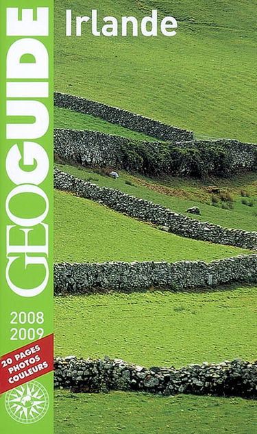 Irlande : 2008-2009